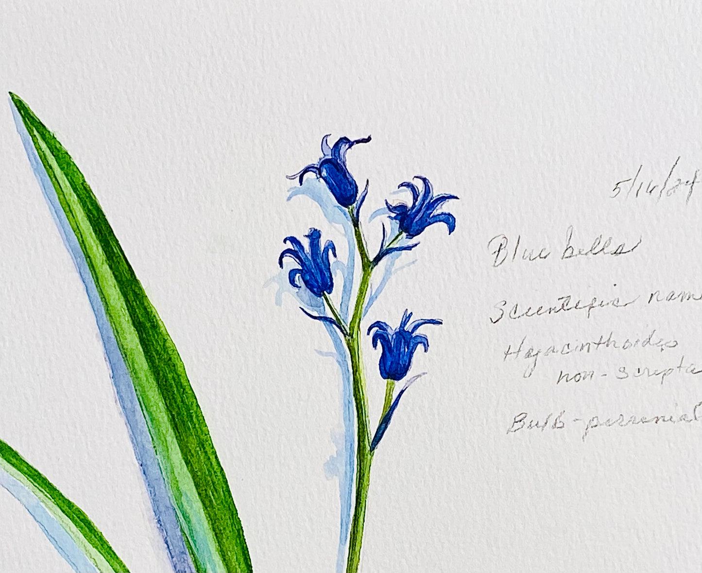 Private Party: Watercolor Painting