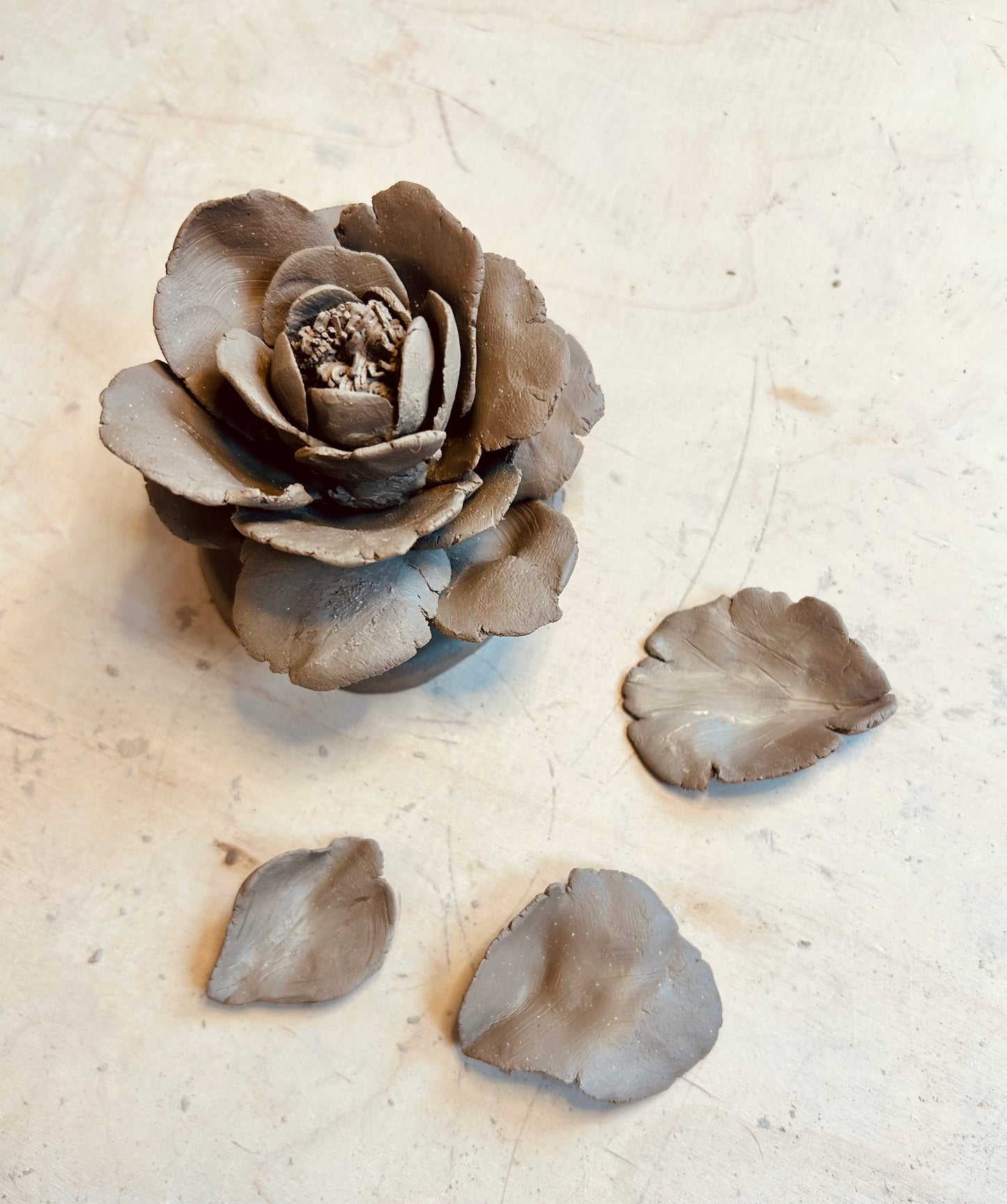 Sculpt & Sip: Sculpting Air Dry Porcelain Flowers at The Lake Line 6/24, 5-8 pm